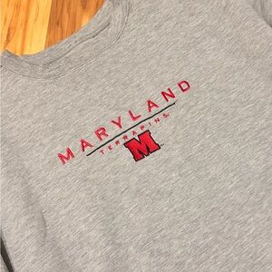 Jansport | UMD Collegiate Crewneck